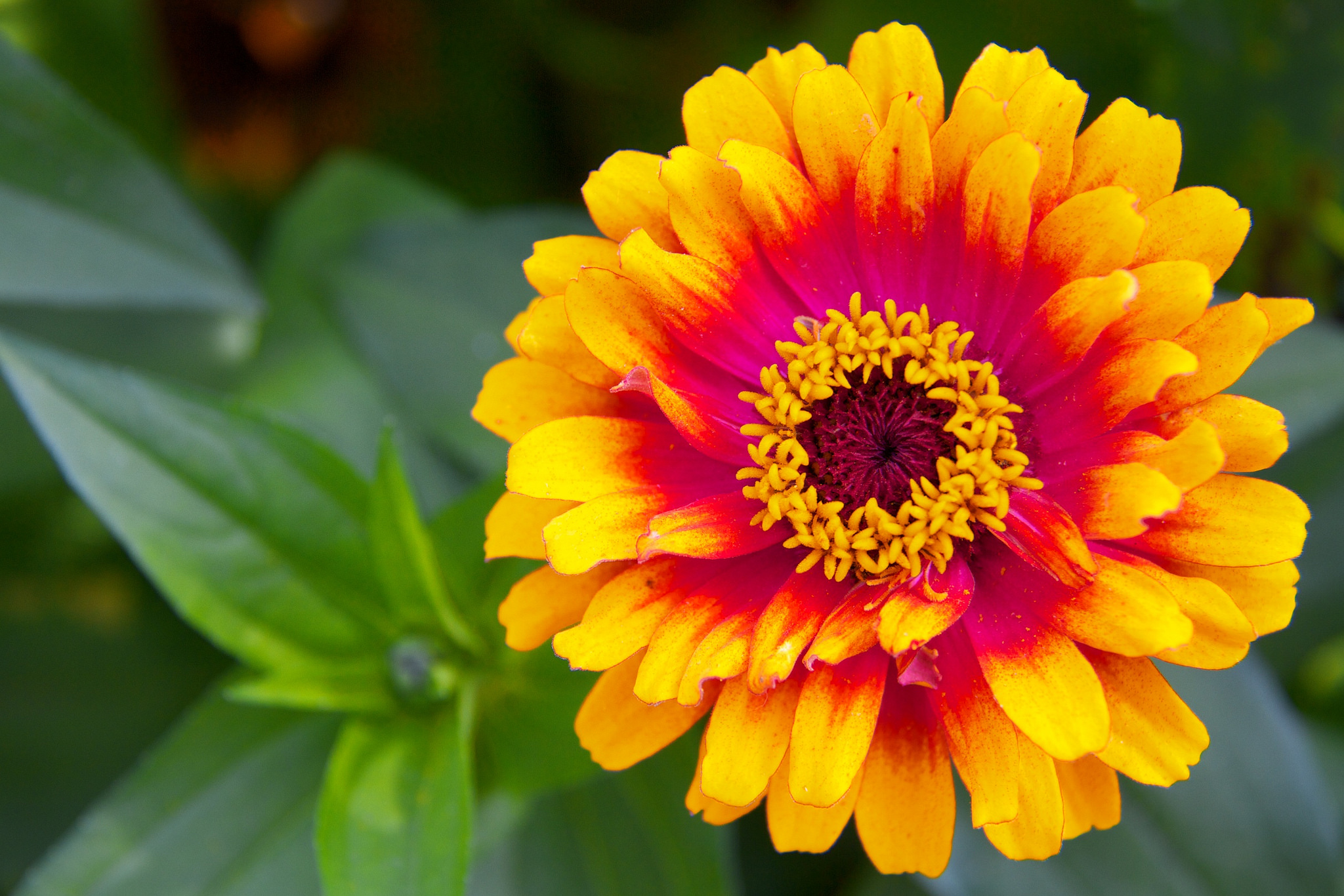 14543426890_a3e8c42a42_k