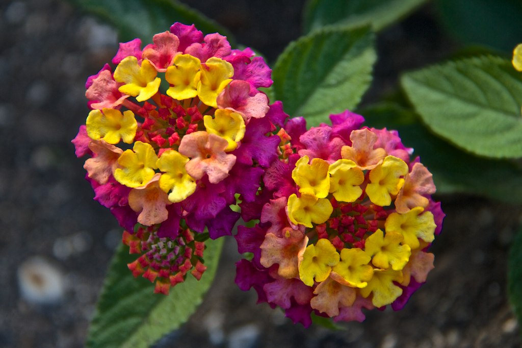 14543691558_eb9a86ffb1_b