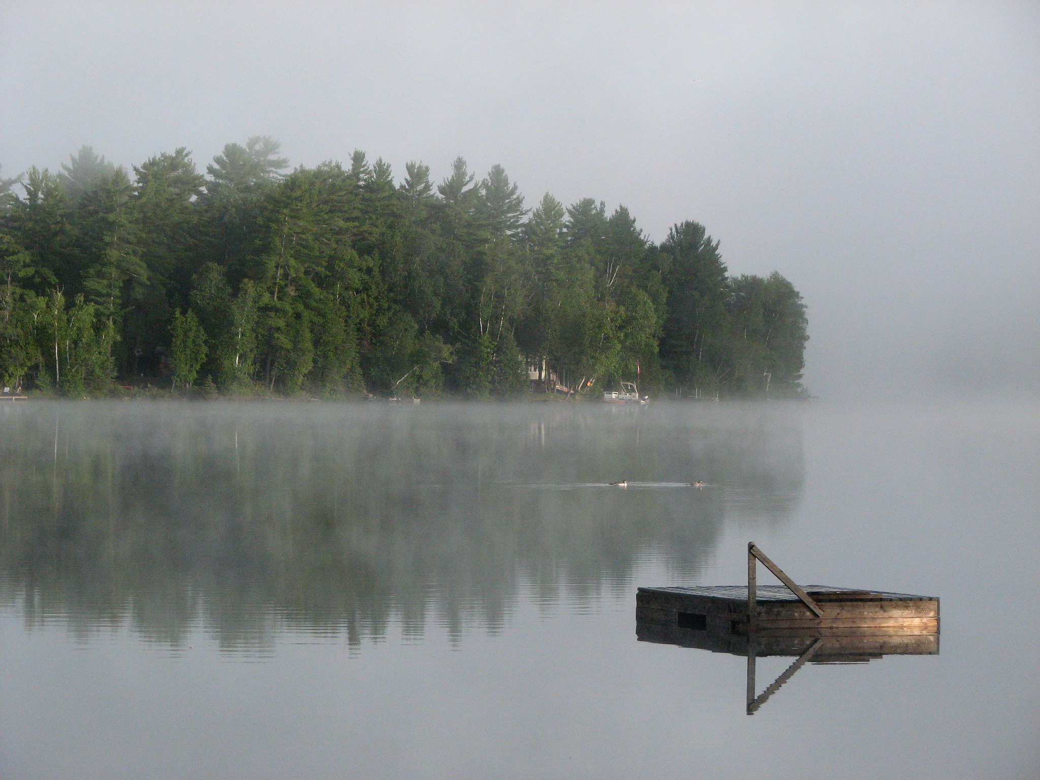 16520045584_e83b399635_k