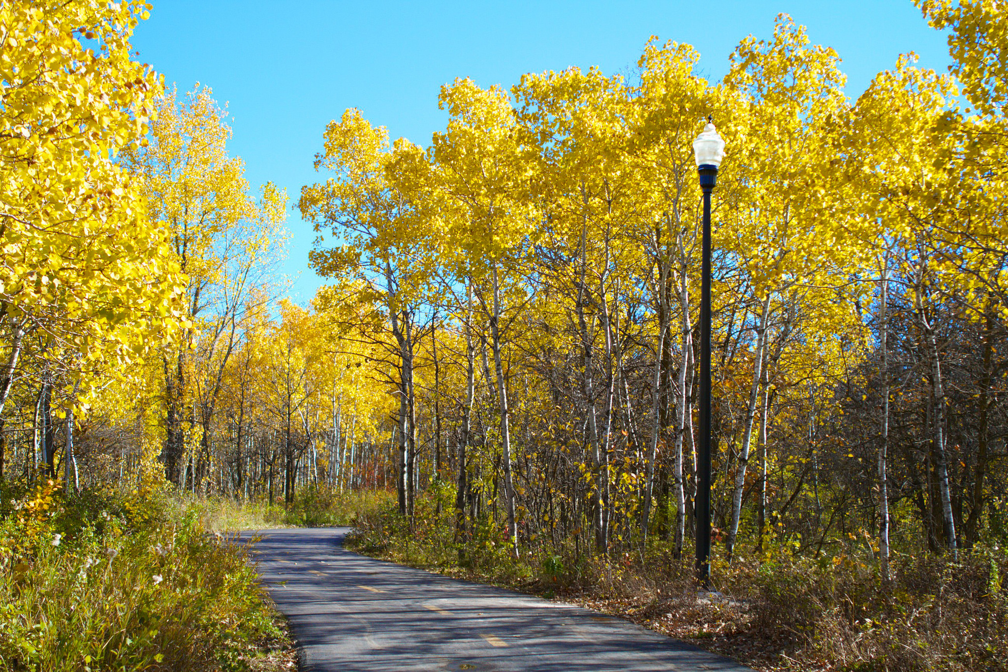 16954740618_e87c73c7ca_k