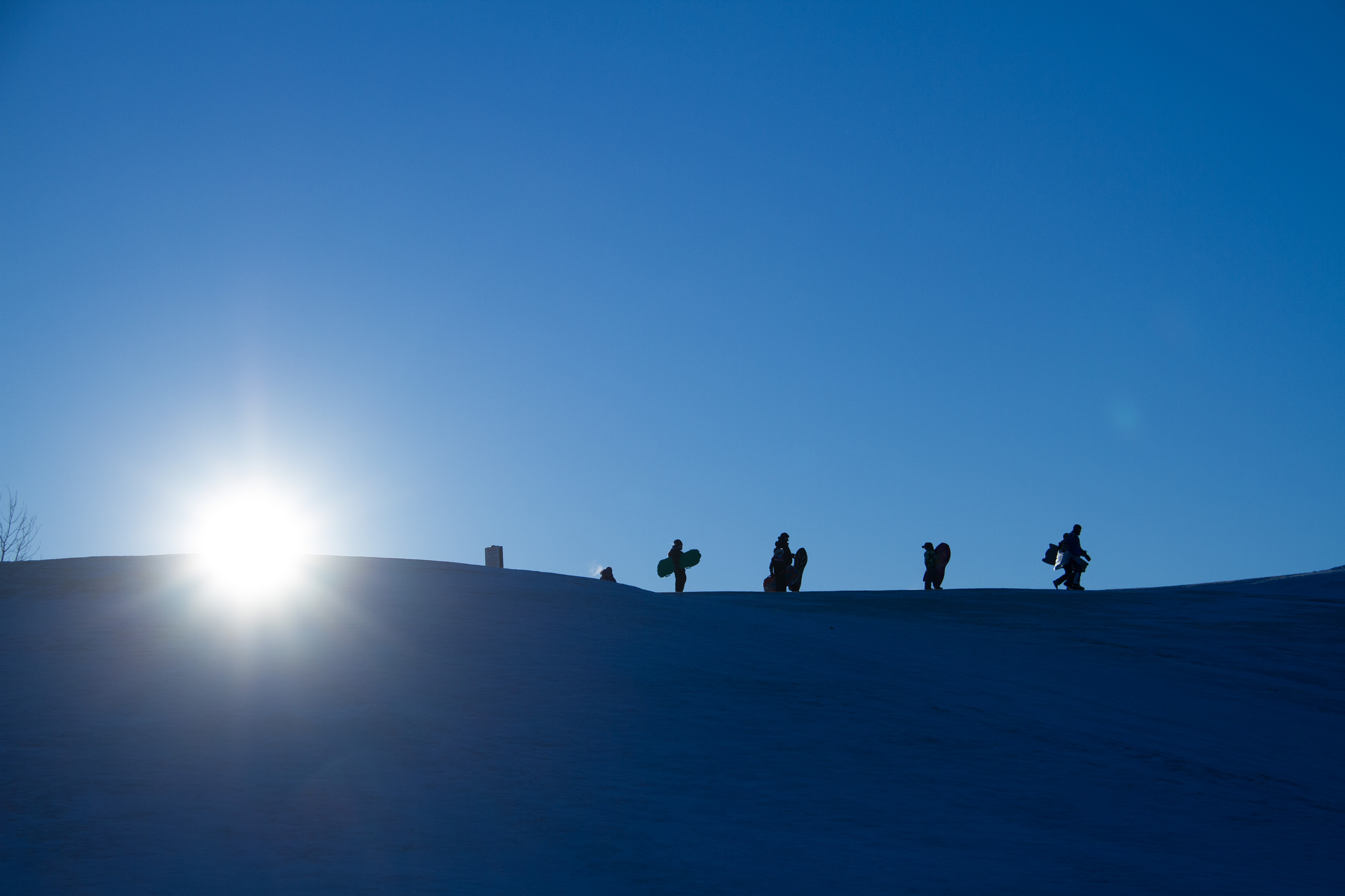 17140866512_fdee56b2ba_k