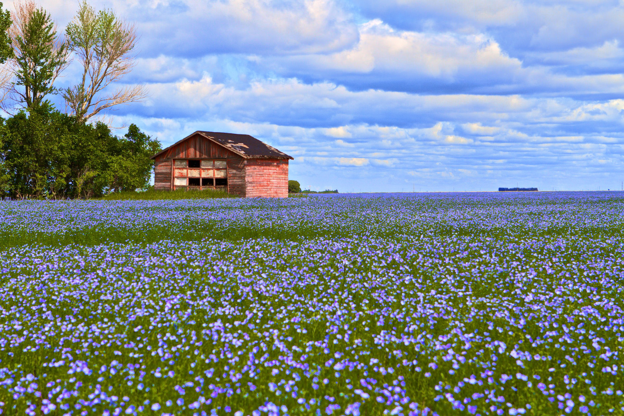 17141778901_d45935ec38_k